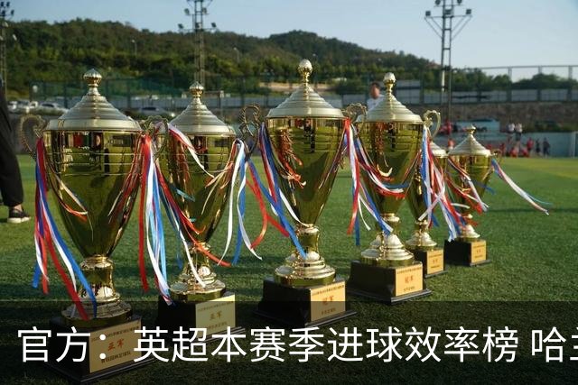官方：英超本赛季进球效率榜 哈兰德第二杜兰第一